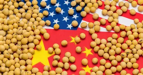 China to Purchase 25 Million Metric Tons of U.S. Soybeans Annually Under New Trade Deal
