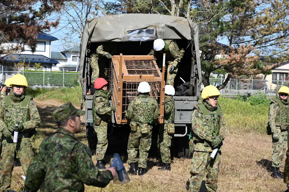 Japan deploys troops to Akita as deadly bear attacks surge in northern region