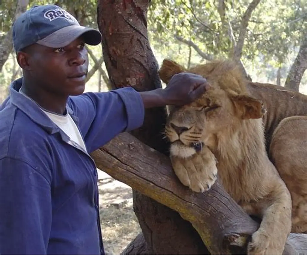 Kenya to Relocate Nairobi Animal Orphanage Amid Rising Human-Wildlife Conflict