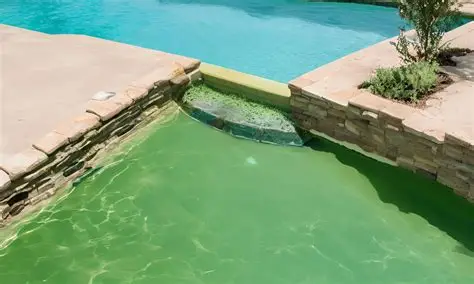 Pool Owners React as Algae Bloom Turns Trump Reflecting Pool Green